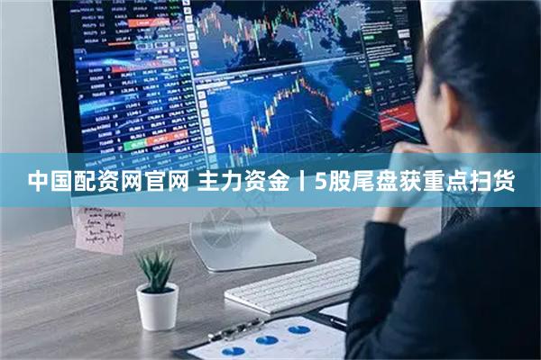 中国配资网官网 主力资金丨5股尾盘获重点扫货