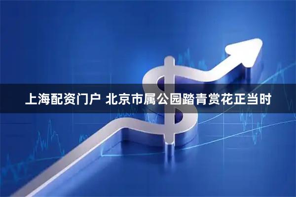上海配资门户 北京市属公园踏青赏花正当时